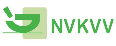 NVKVVV400