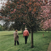 Old people walking in a park